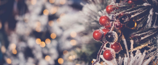 Winter Marketing - Part 1