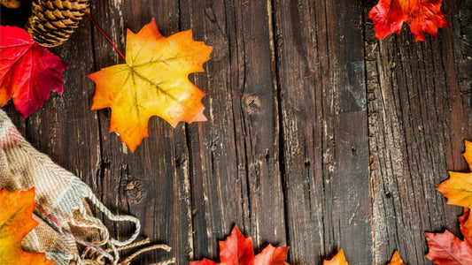 Seasonal Marketing - Fall 2026