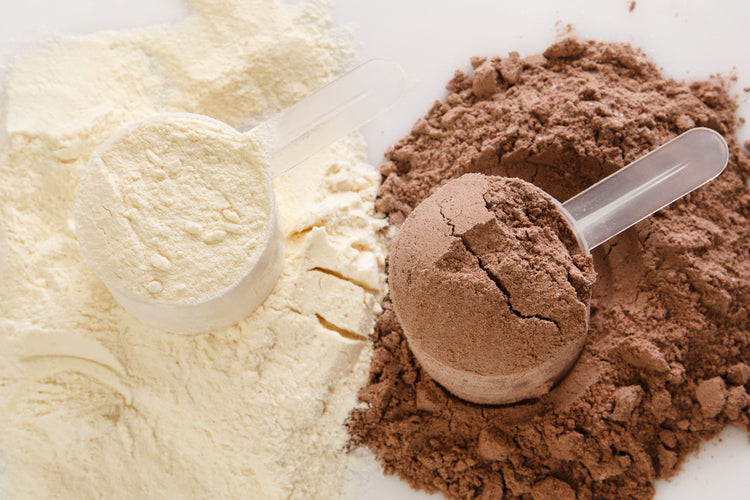 Protein