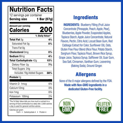 Betty Lou's Blueberry Fruit Bar - 12ct